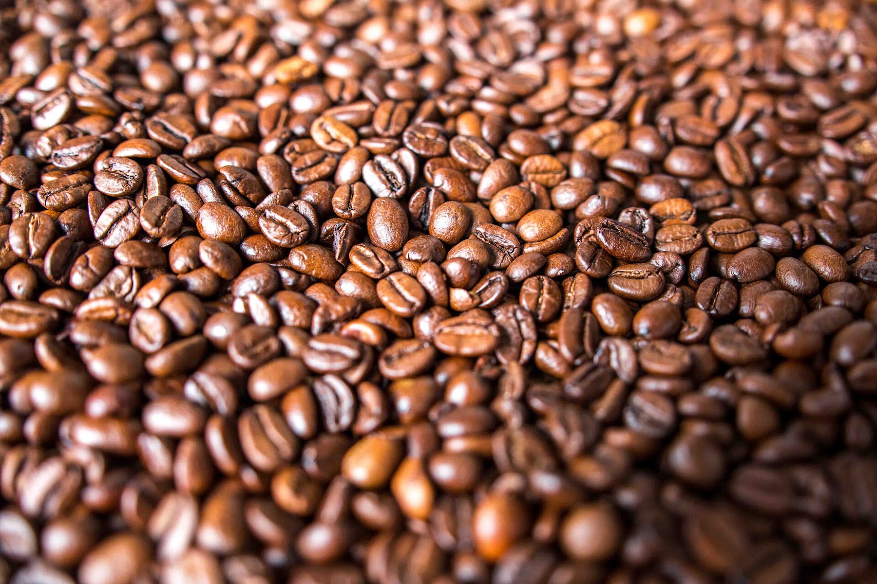Fresh from the roaster